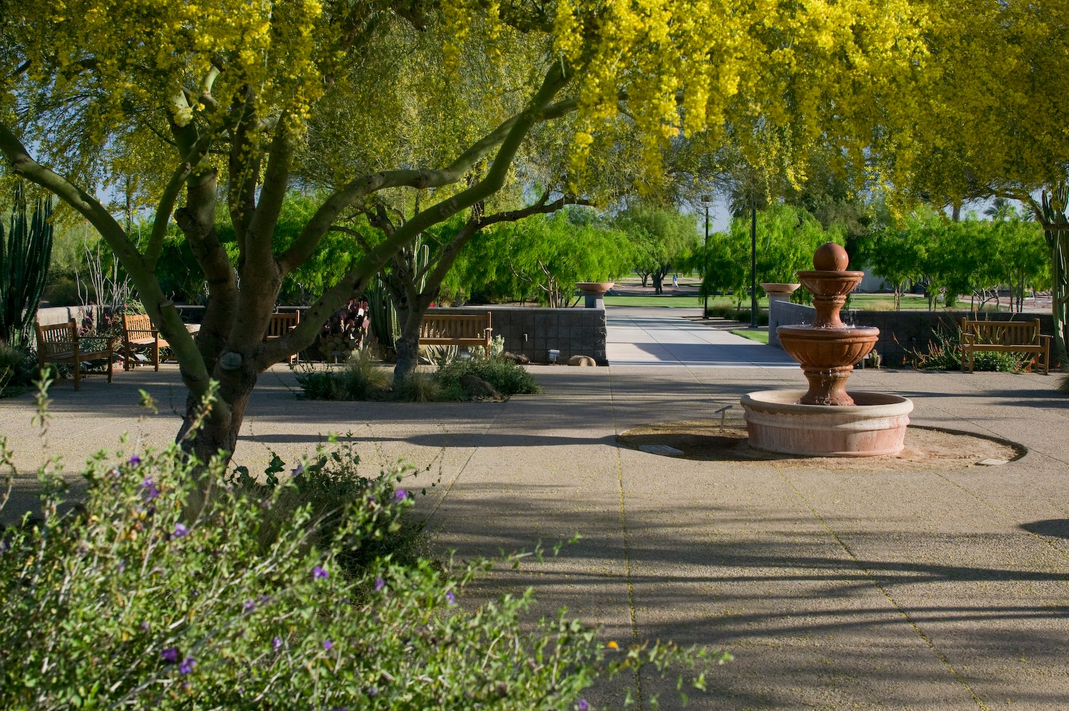 Water fountain at Arizona State University, Polytechnic campus.