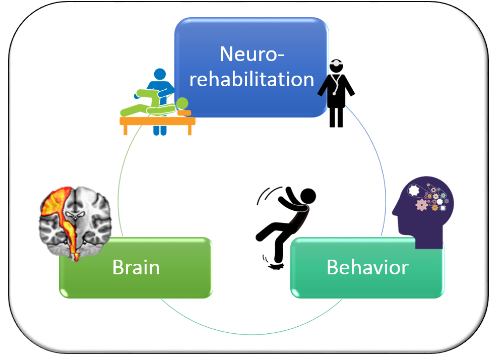 We seek to understand behaviors linked to falls (balance, gait, cognition) and leverage this information to improve rehabilitati