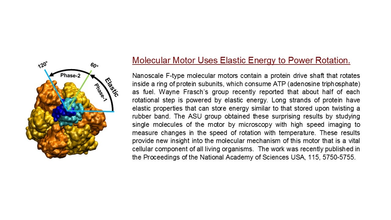 image of the F1-ATPase and elastic powerstroke mechanism summary.