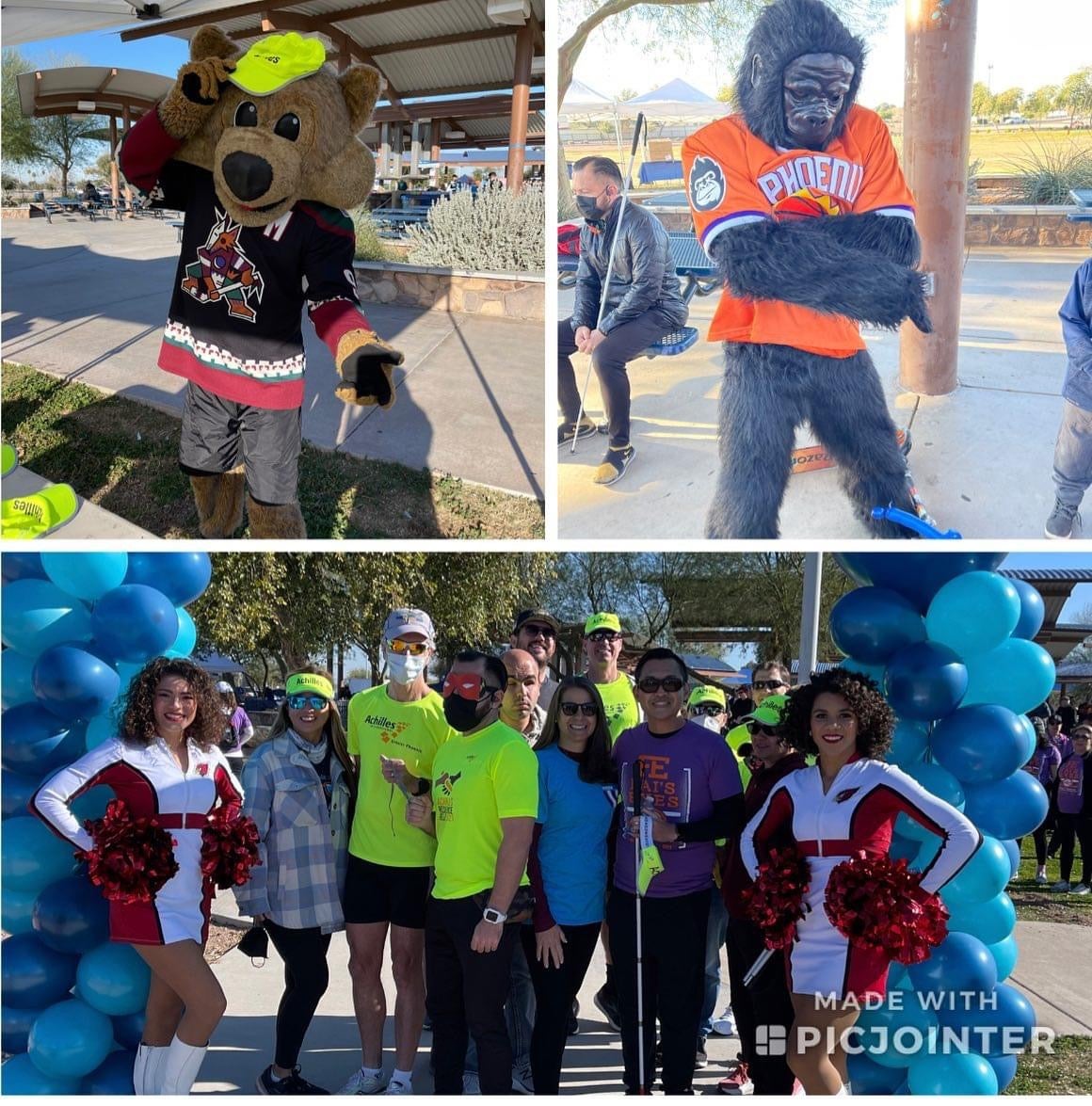 Three picture collage with the top left featuring the AZ Coyotes' mascot and the top right the Suns' Gorilla. On the bottom is pictured a group of people getting ready to start a 5K walk.