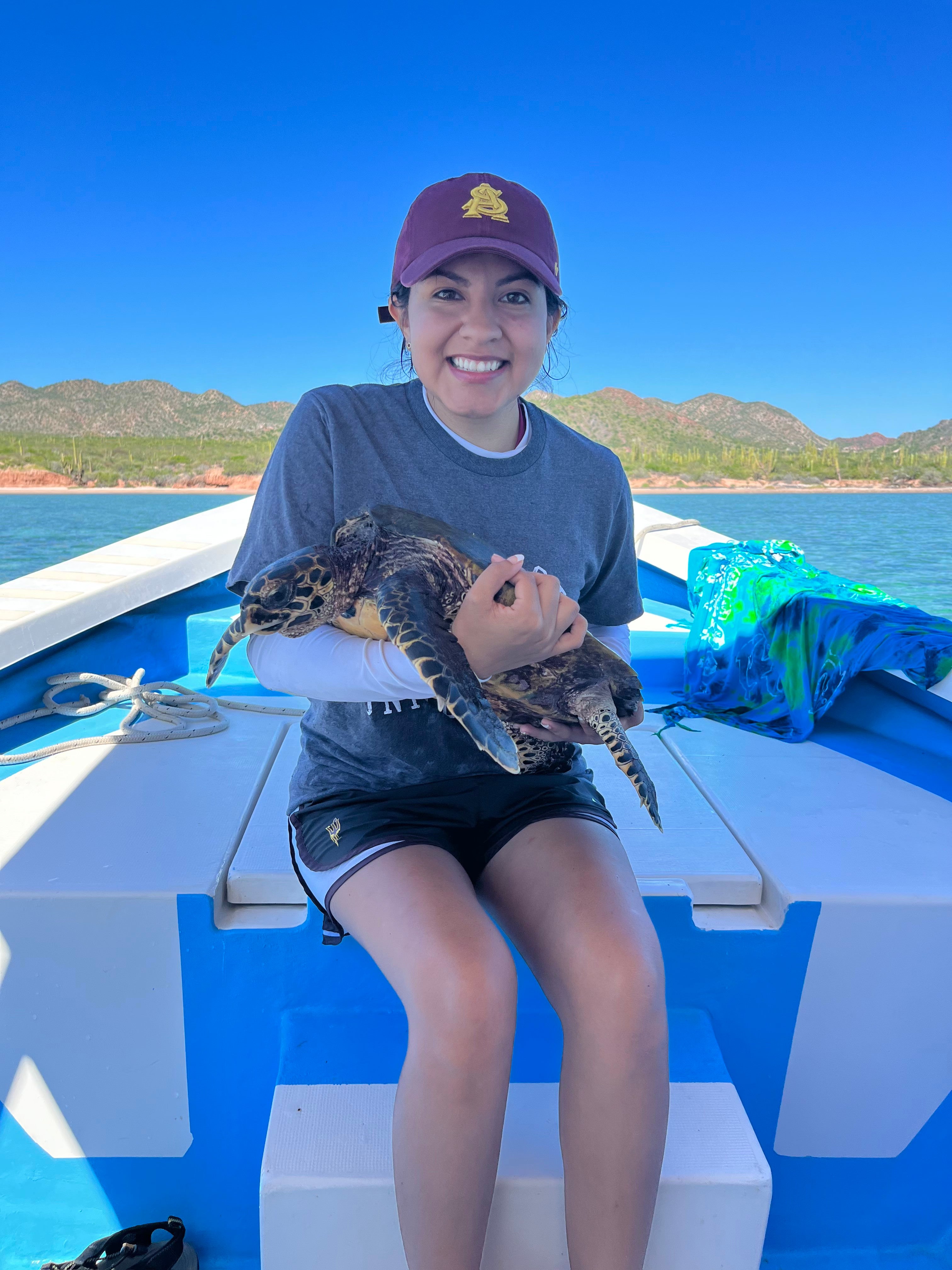 Cindy holding a hawksbill turtle 