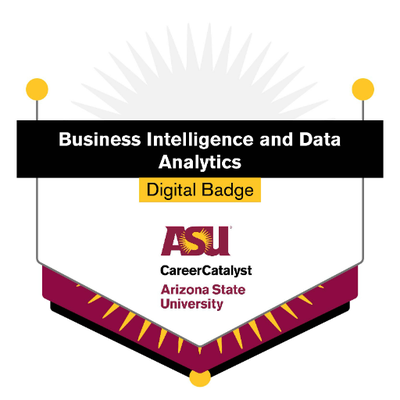 Business Intelligence and Data Analytics