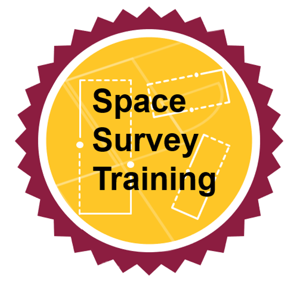 Space Survey Badge