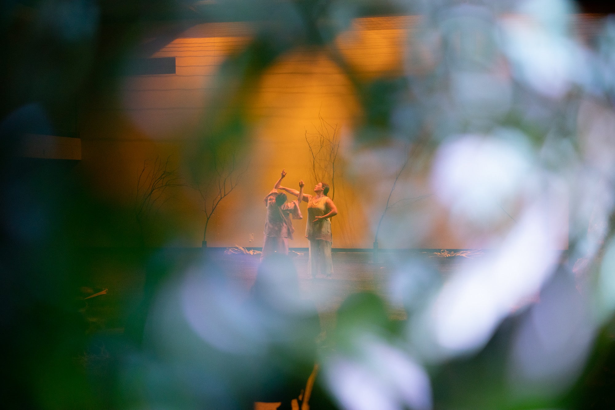 This photograph is taken through a foreground of flowers. The foreground is blurred and creates a round, soft, white, blue, green and purple round frame through which we see two dancers reaching upward, side by side in front of a glowing orange backdrop.