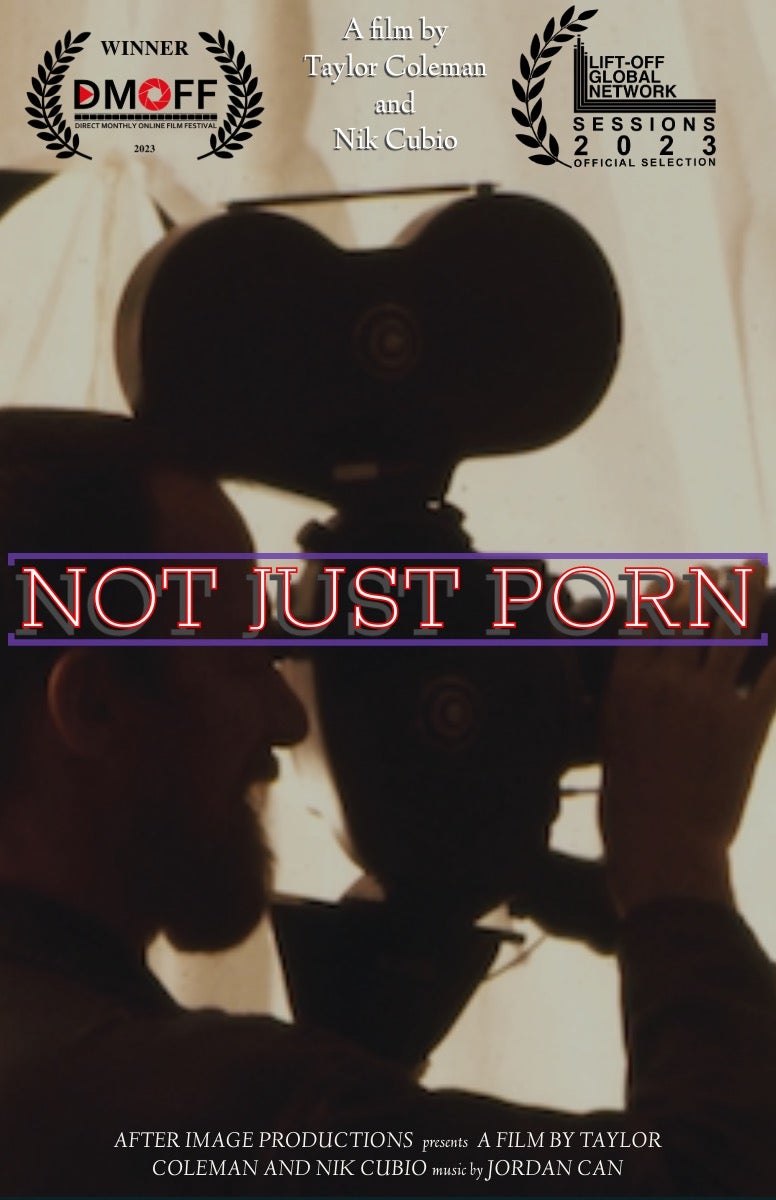 Not Just Porn Poster