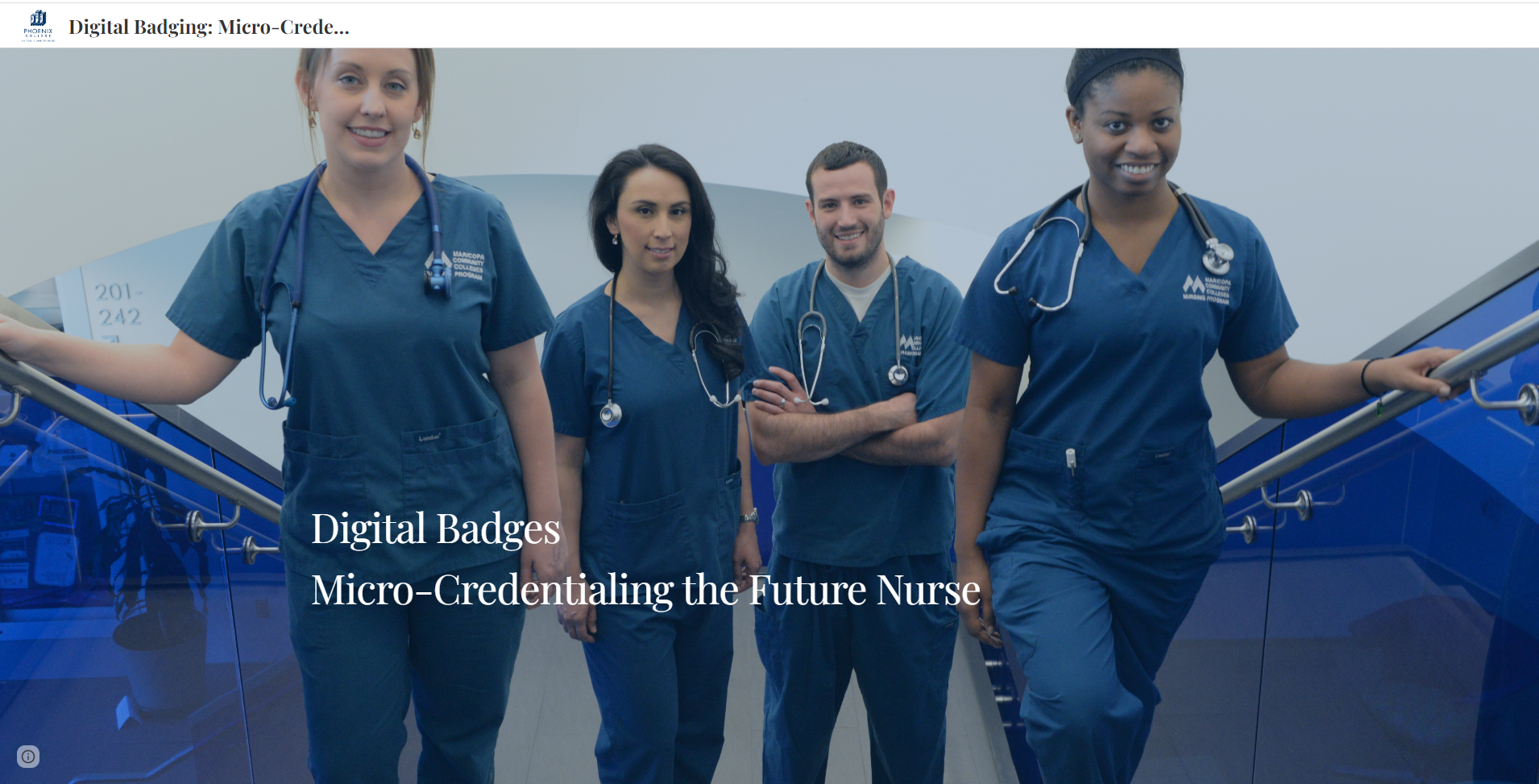 Digital Badging- Nursing Student Micro Credentialing Project