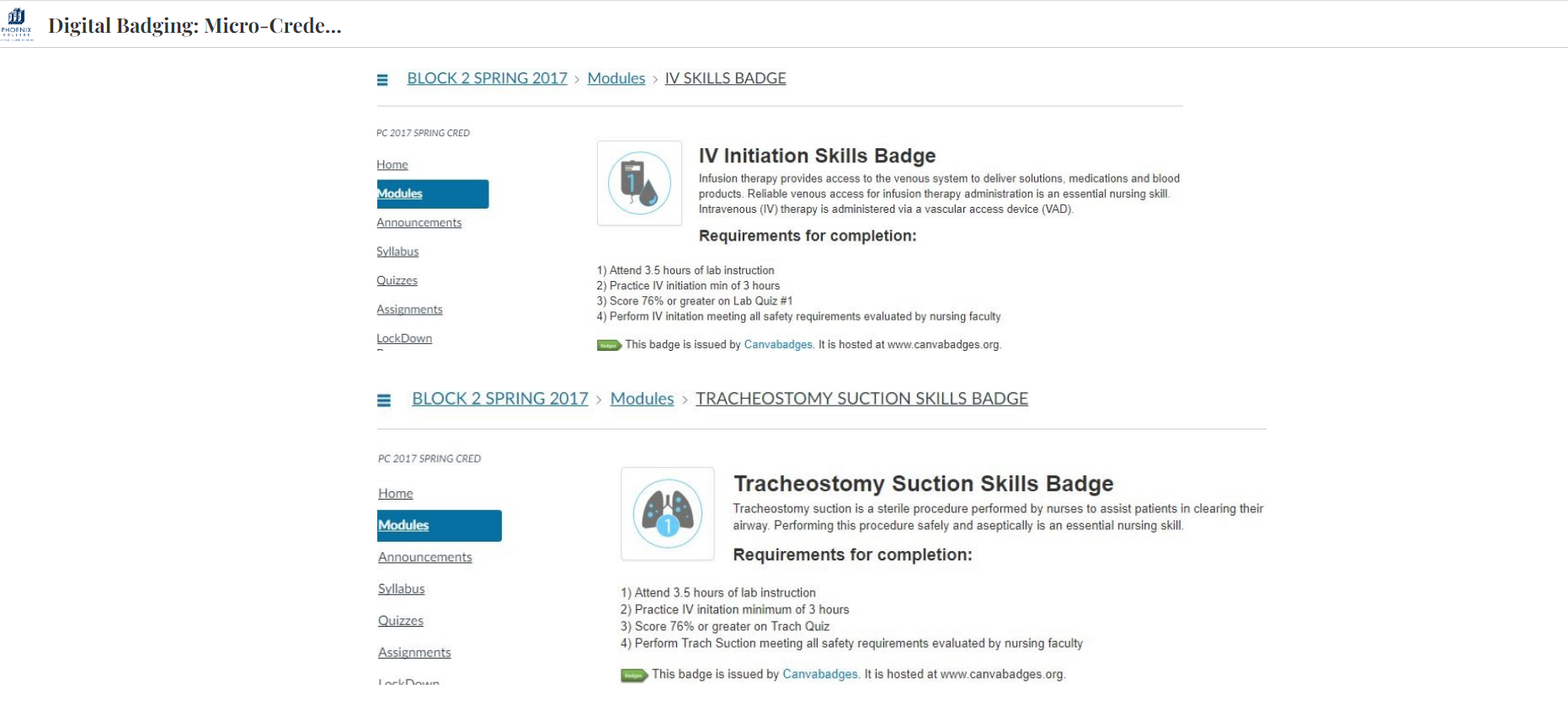 Digital Badging- Nursing Student Micro Credentialing Project