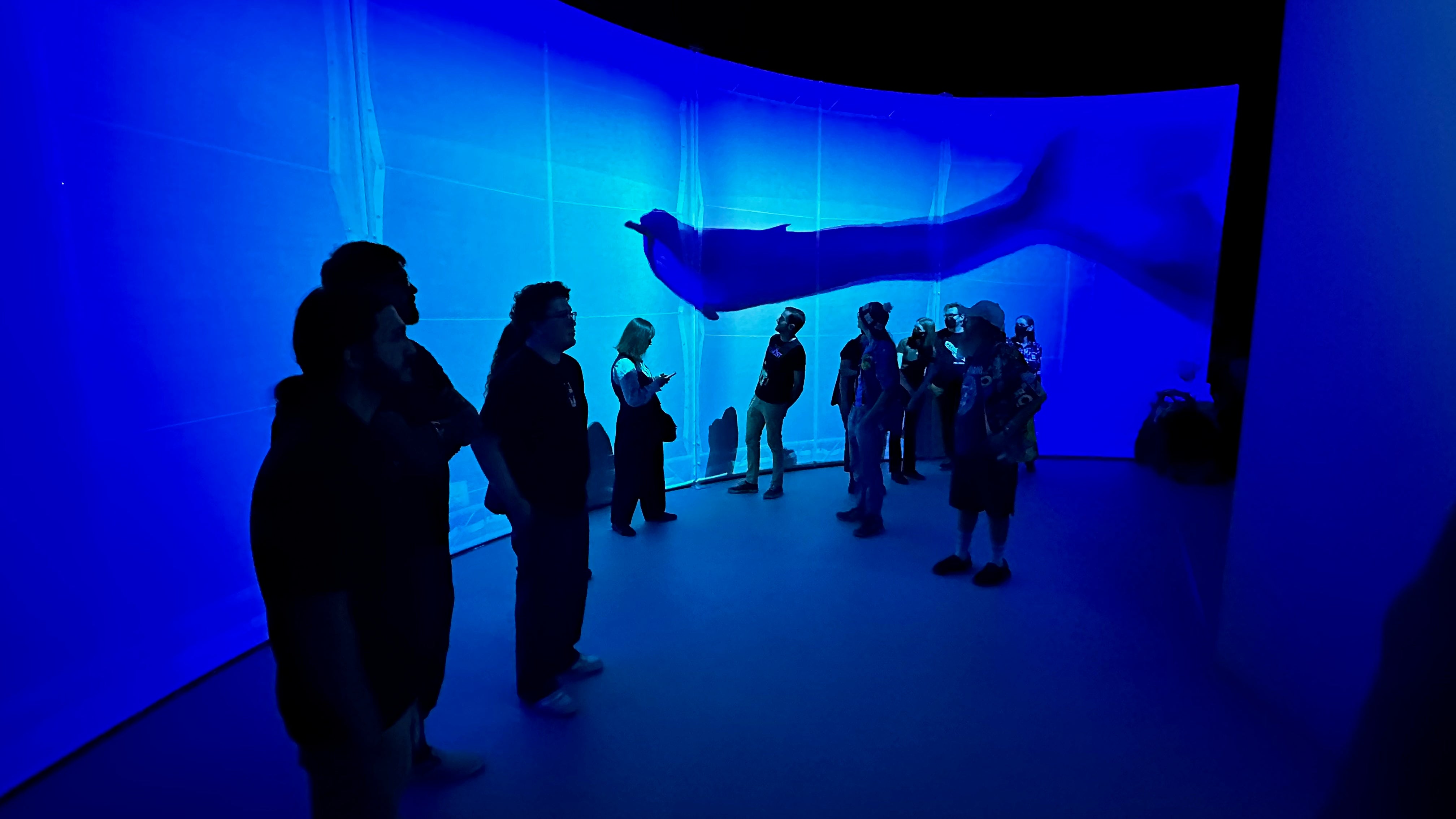 view of immersive installation with audience in front of project whale.