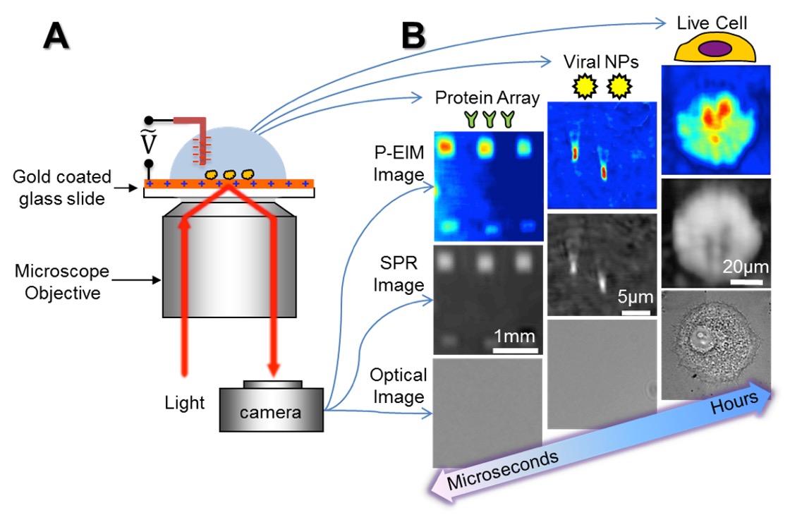 Multi-functional Plasmonic Microscopy