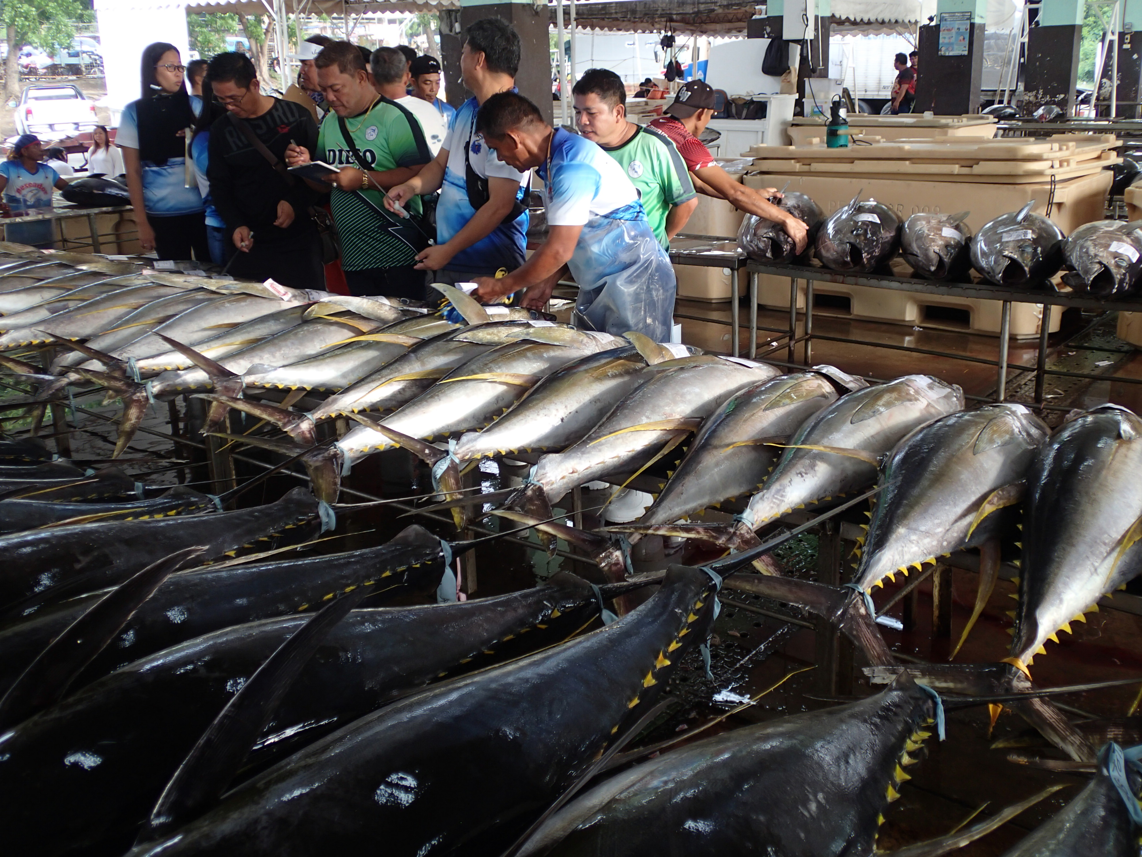 General Santos tuna fishing port. 
